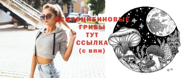 ГАЛЛЮЦИНОГЕННЫЕ ГРИБЫ Абаза