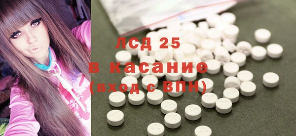 ГАЛЛЮЦИНОГЕННЫЕ ГРИБЫ Абаза