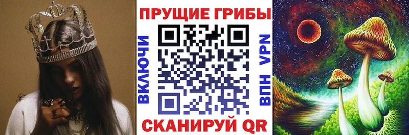 Галлюциногенные грибы прущие грибы  наркошоп  Нахабино 